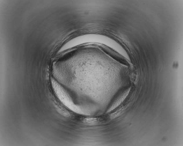 X0000089960413200707271905