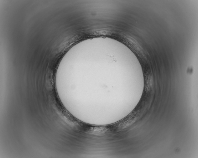 X0000089960414200707271905