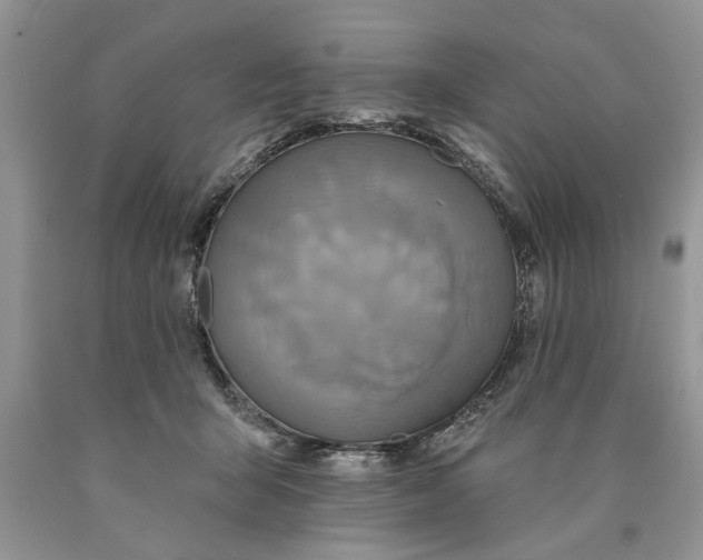 X0000089960415200707271905