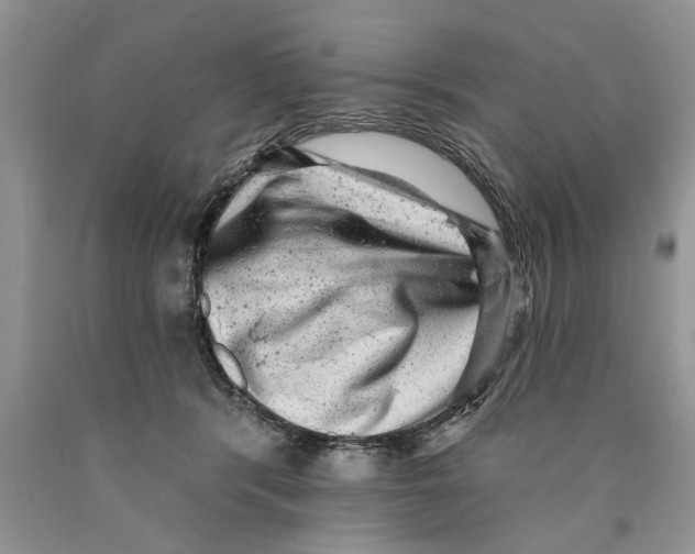 X0000089960416200707271905