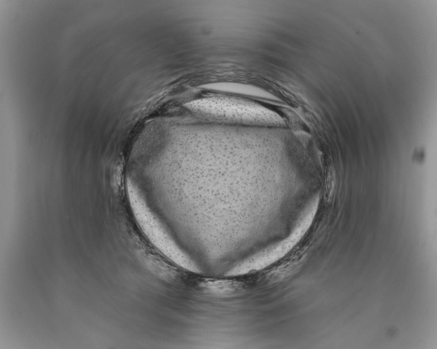 X0000089960417200707271905