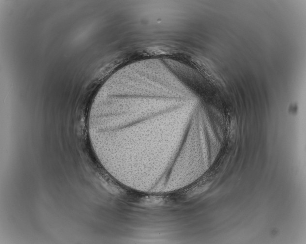 X0000089960418200707271905