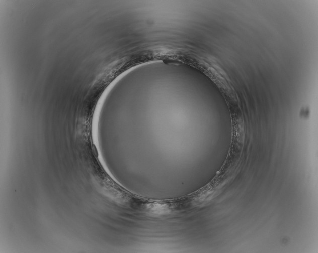 X0000089960419200707271905