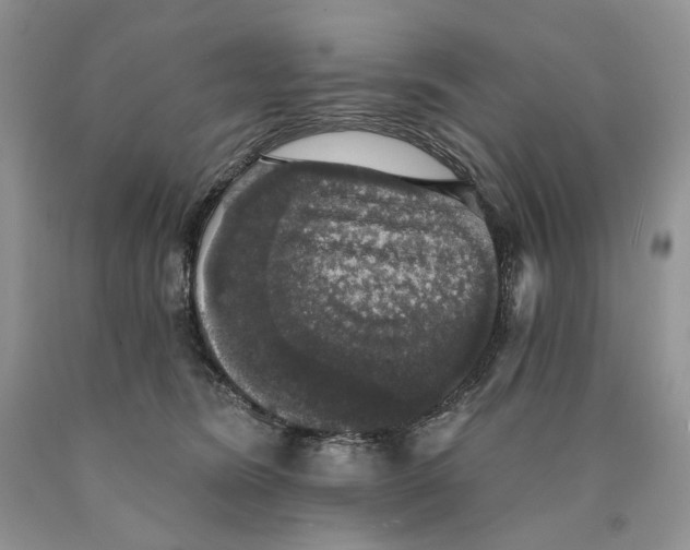 X0000089960420200707271905