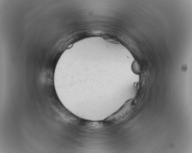 X0000089960421200707271905