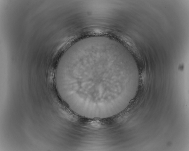 X0000089960423200707271905