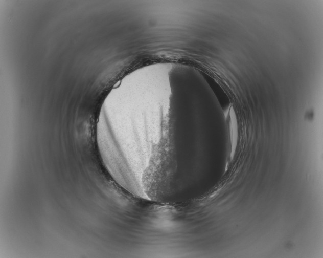 X0000089960424200707271905