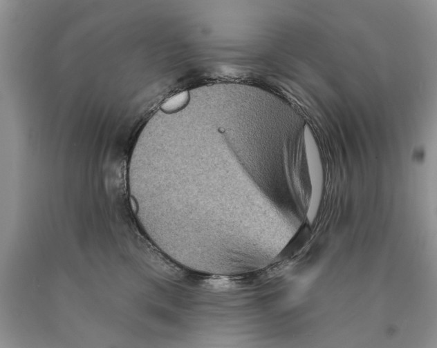 X0000089960425200707271905