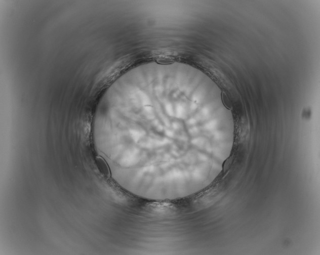 X0000089960427200707271905