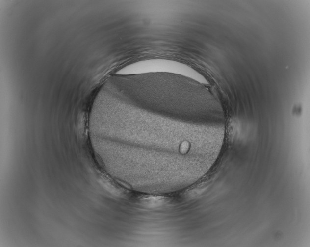 X0000089960428200707271905