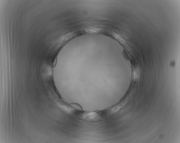 X0000089960431200707271905