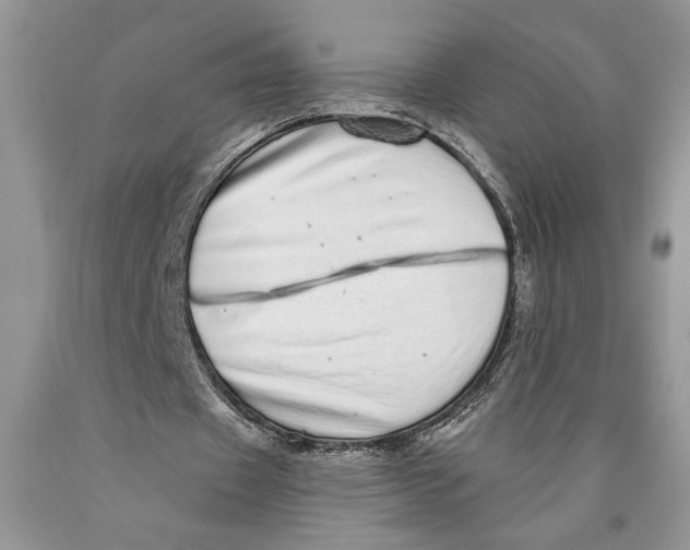 X0000089960433200707271904