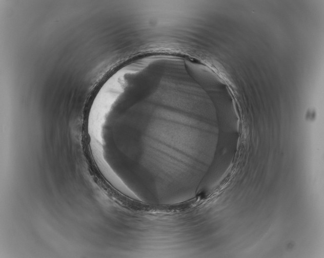 X0000089960434200707271904