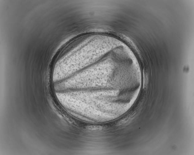 X0000089960435200707271904