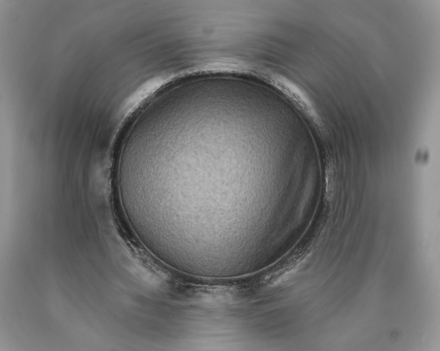 X0000089960436200707271904