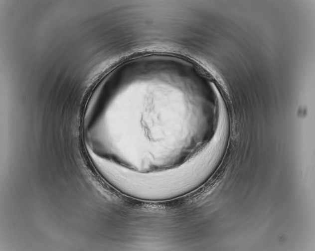 X0000089960437200707271904