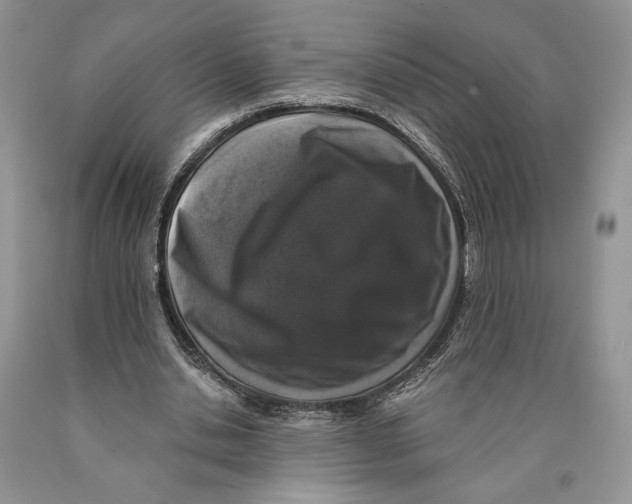 X0000089960438200707271904