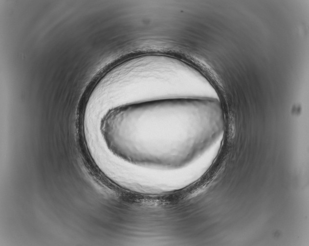 X0000089960439200707271904