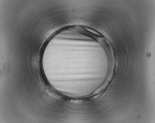 X0000089960440200707271904