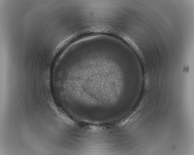 X0000089960442200707271905