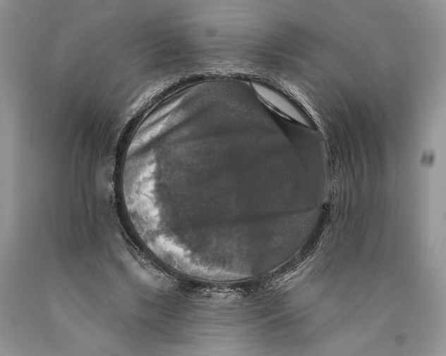 X0000089960443200707271905