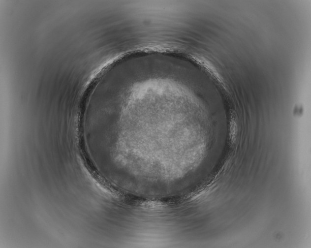 X0000089960444200707271905