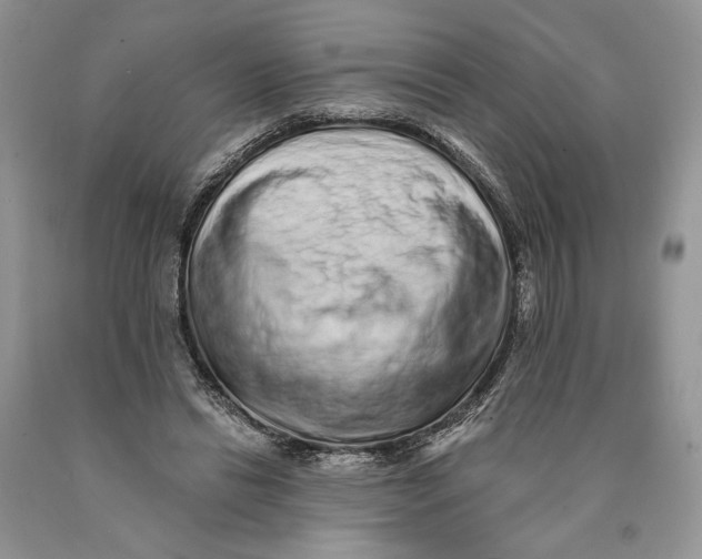 X0000089960446200707271905