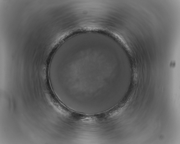 X0000089960447200707271905