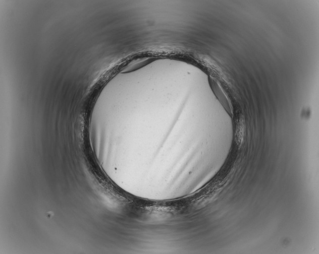 X0000089960448200707271905