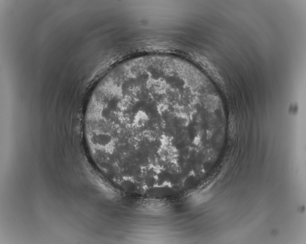 X0000089960449200707271905