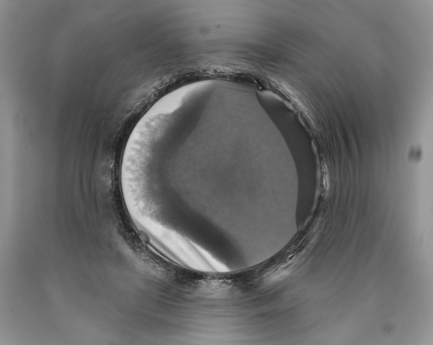 X0000089960451200707271905