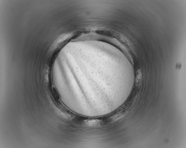 X0000089960452200707271905