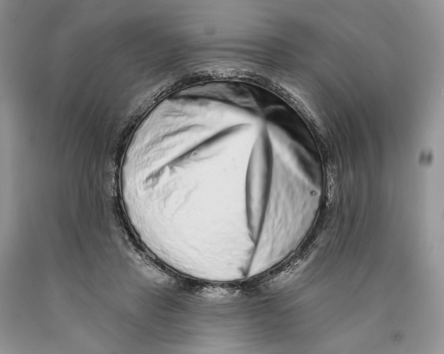 X0000089960453200707271905