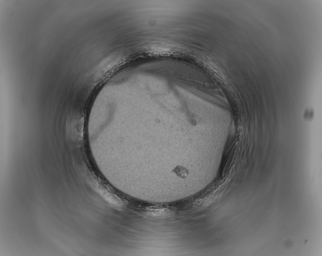 X0000089960454200707271905