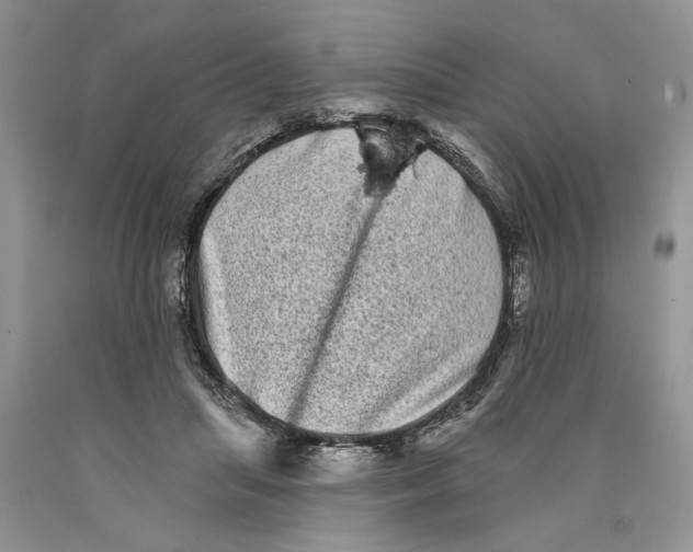 X0000089960455200707271905