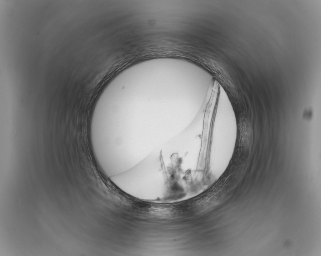 X0000089960457200707271905