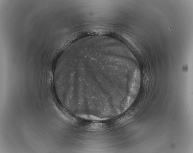 X0000089960459200707271905