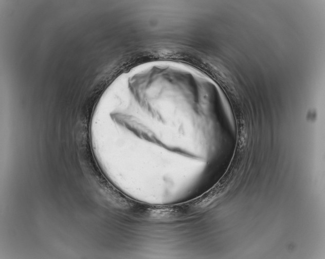 X0000089960461200707271905