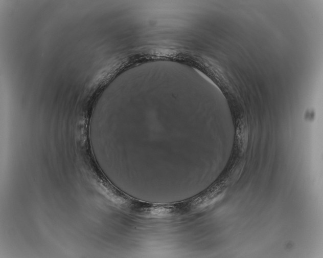 X0000089960462200707271905