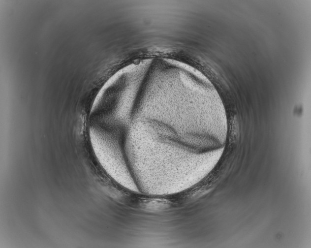 X0000089960463200707271905