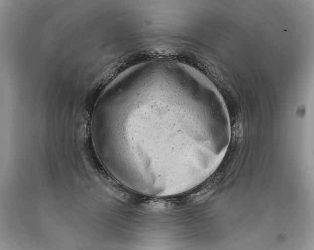 X0000089960464200707271905