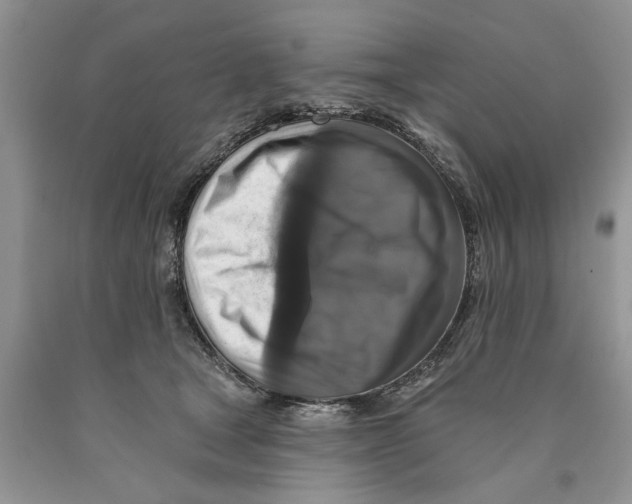 X0000089960465200707271905