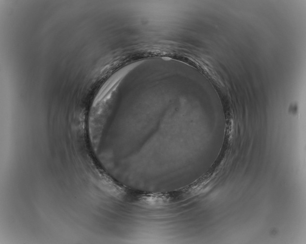 X0000089960466200707271905