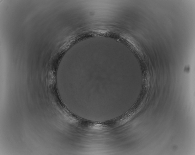 X0000089960467200707271905