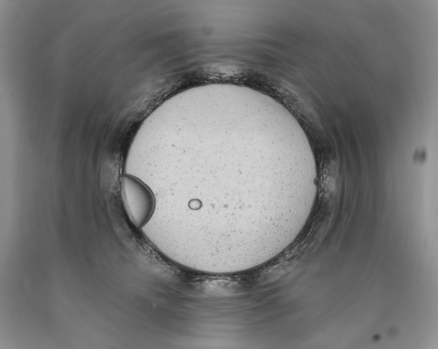 X0000089960468200707271905