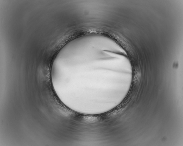 X0000089960469200707271905