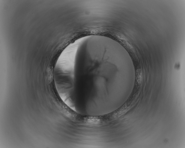 X0000089960471200707271905