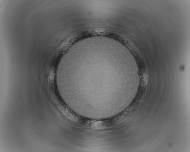 X0000089960472200707271905