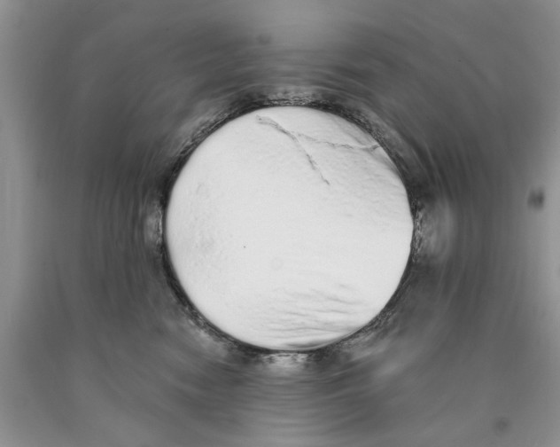 X0000089960474200707271905