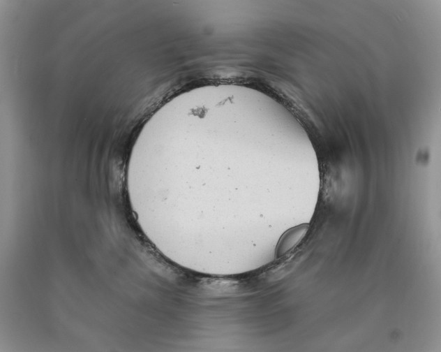 X0000089960476200707271905